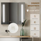 Armoire de toilette à miroir lumineux à LED 27,5" x 25,5" - Fixation murale